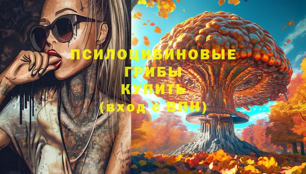 дживик Алексеевка