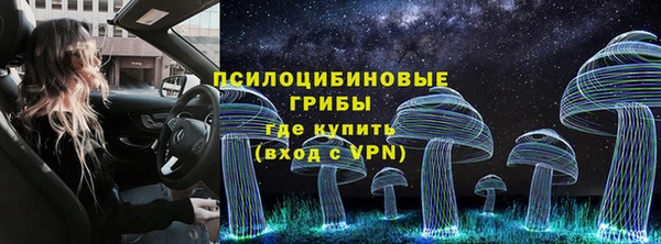 2c-b Алексин